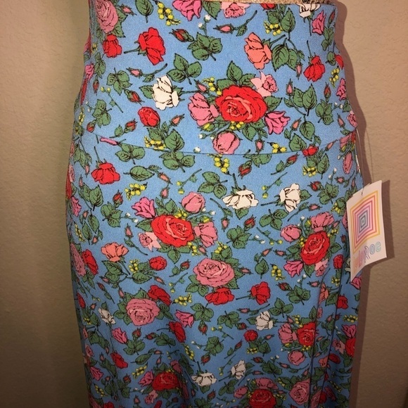 NWT LuLaRoe Azure Skirt Knee Length A Line in Blue with Red & Pink Floral Sz XS - Picture 3 of 6